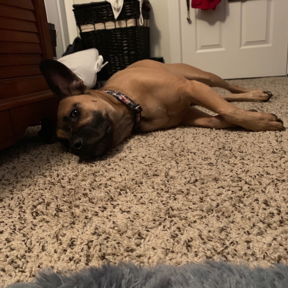 Meet your Posher, Jessica